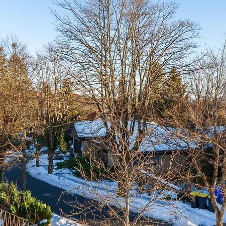 Talsicht Mit Balkon - Hunde Willkommen Apartment Braunlage