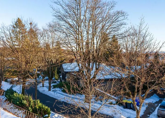 Talsicht Mit Balkon - Hunde Willkommen Apartment Braunlage